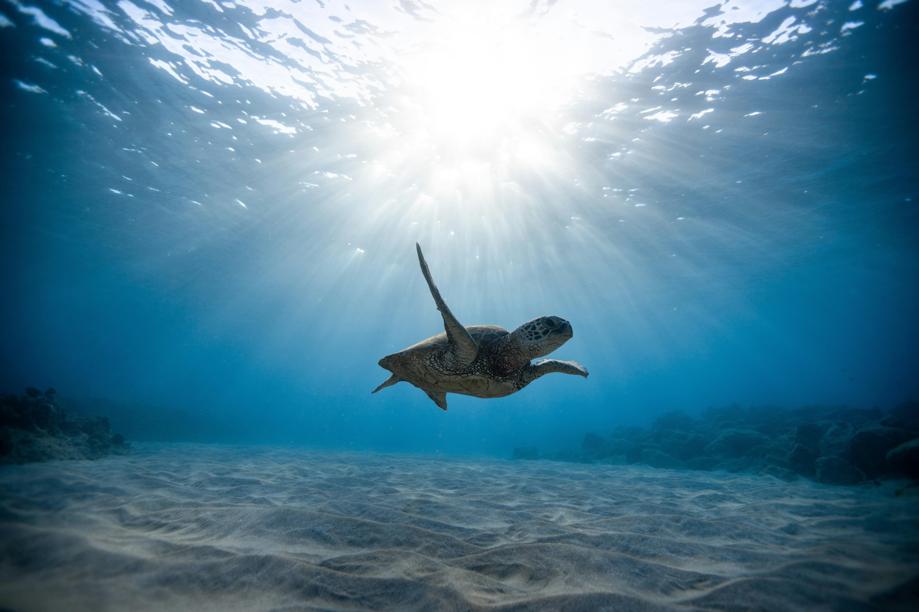 Saltwater Bookkeeping